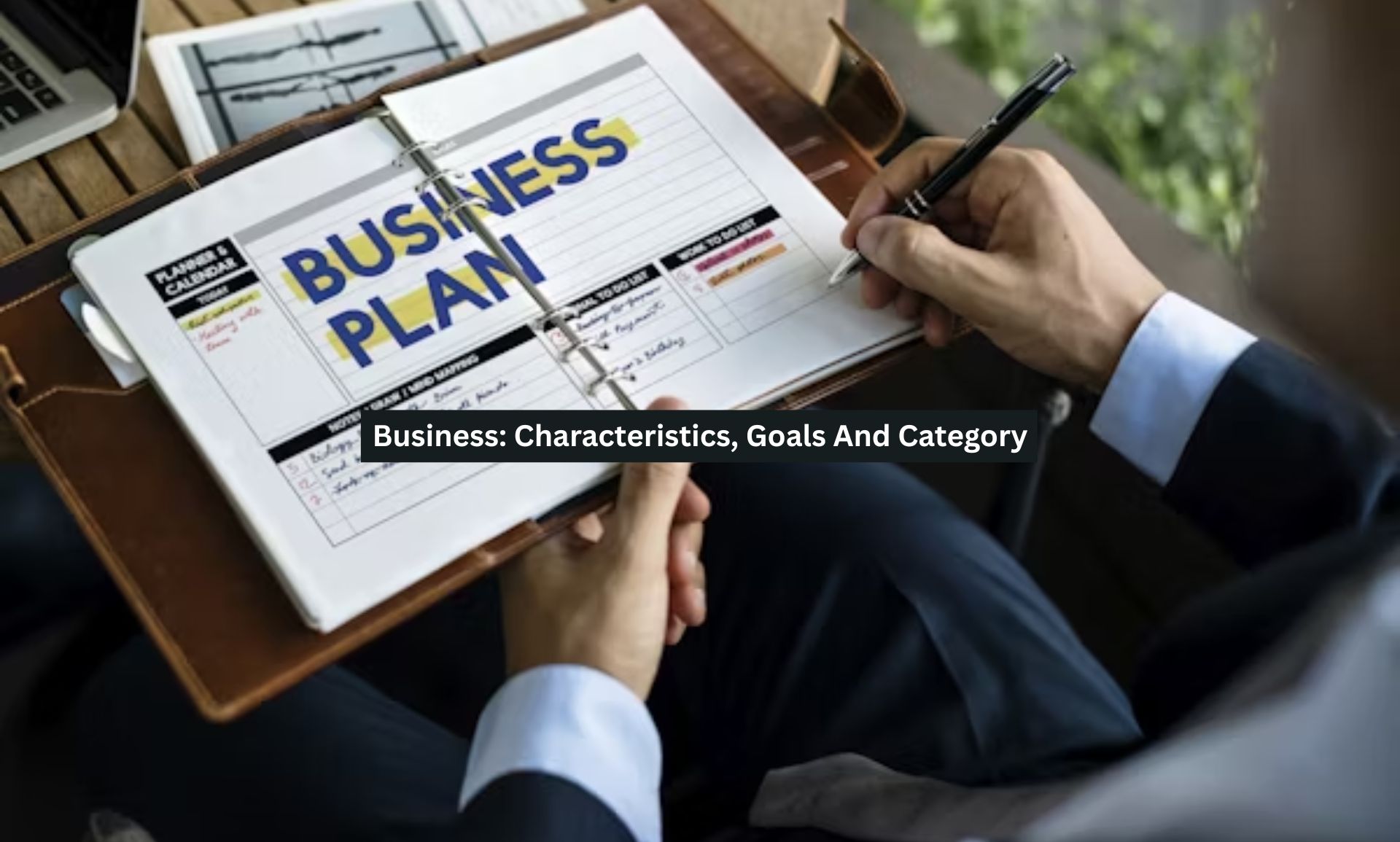Business: Characteristics, Goals And Category