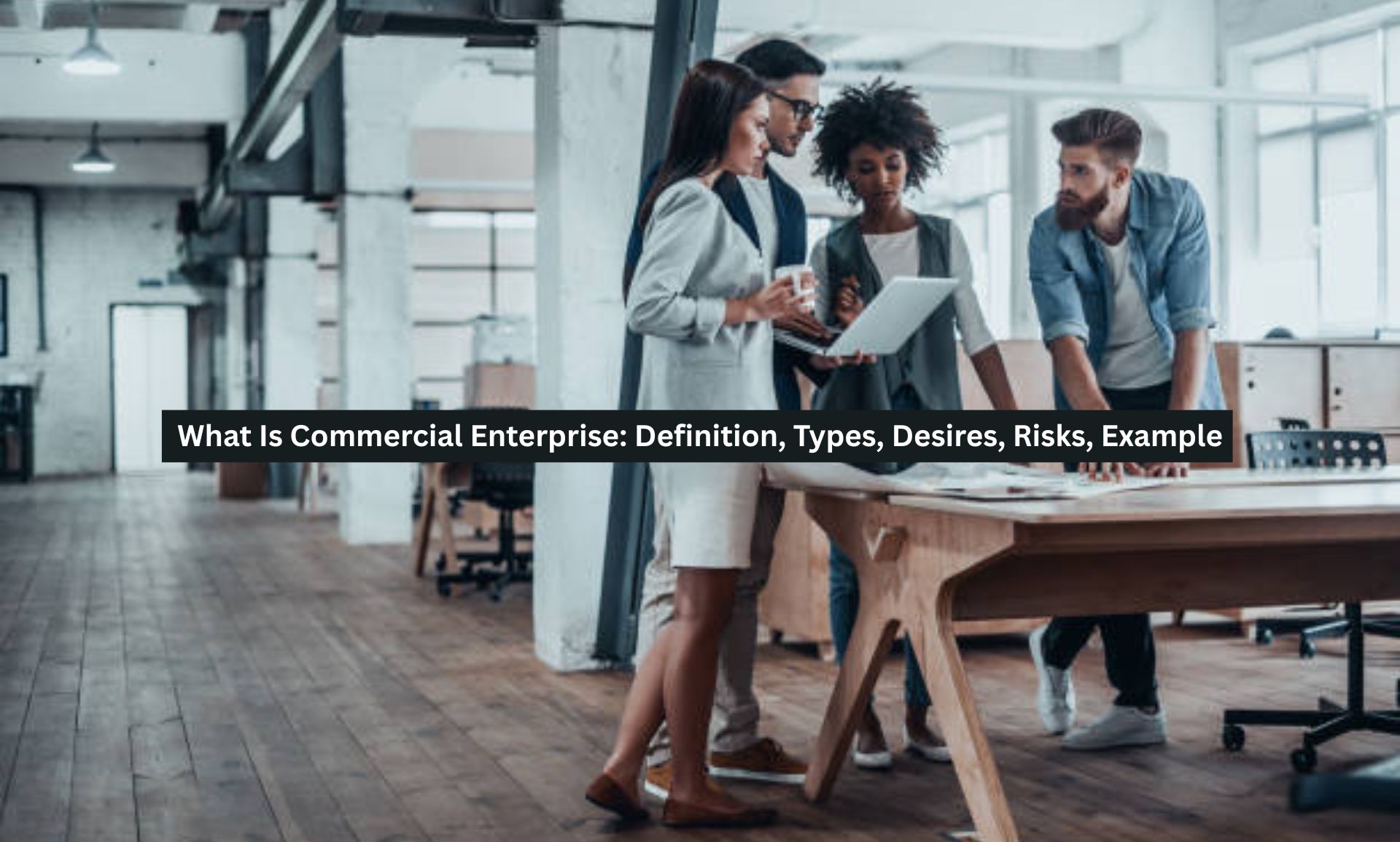 What Is Commercial Enterprise: Definition, Types, Desires, Risks, Example