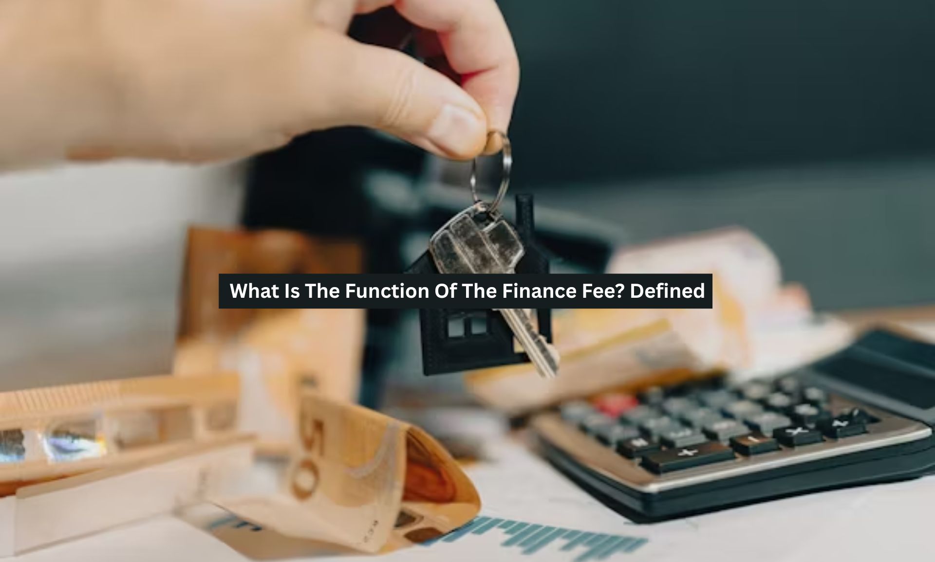 What Is The Function Of The Finance Fee? Defined